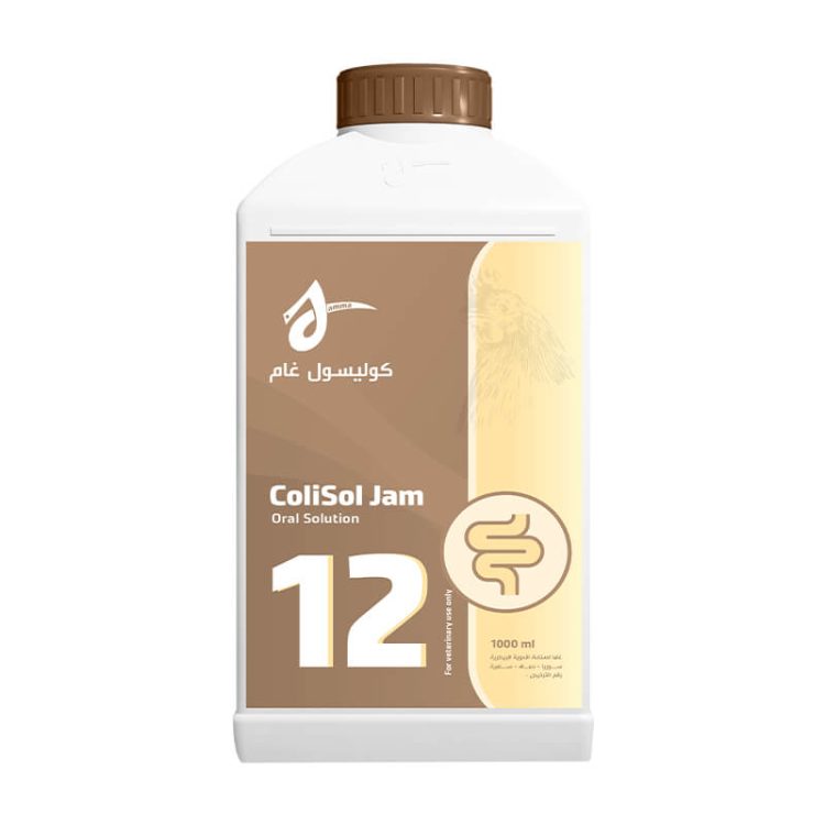 Colisol Jam - Jamma